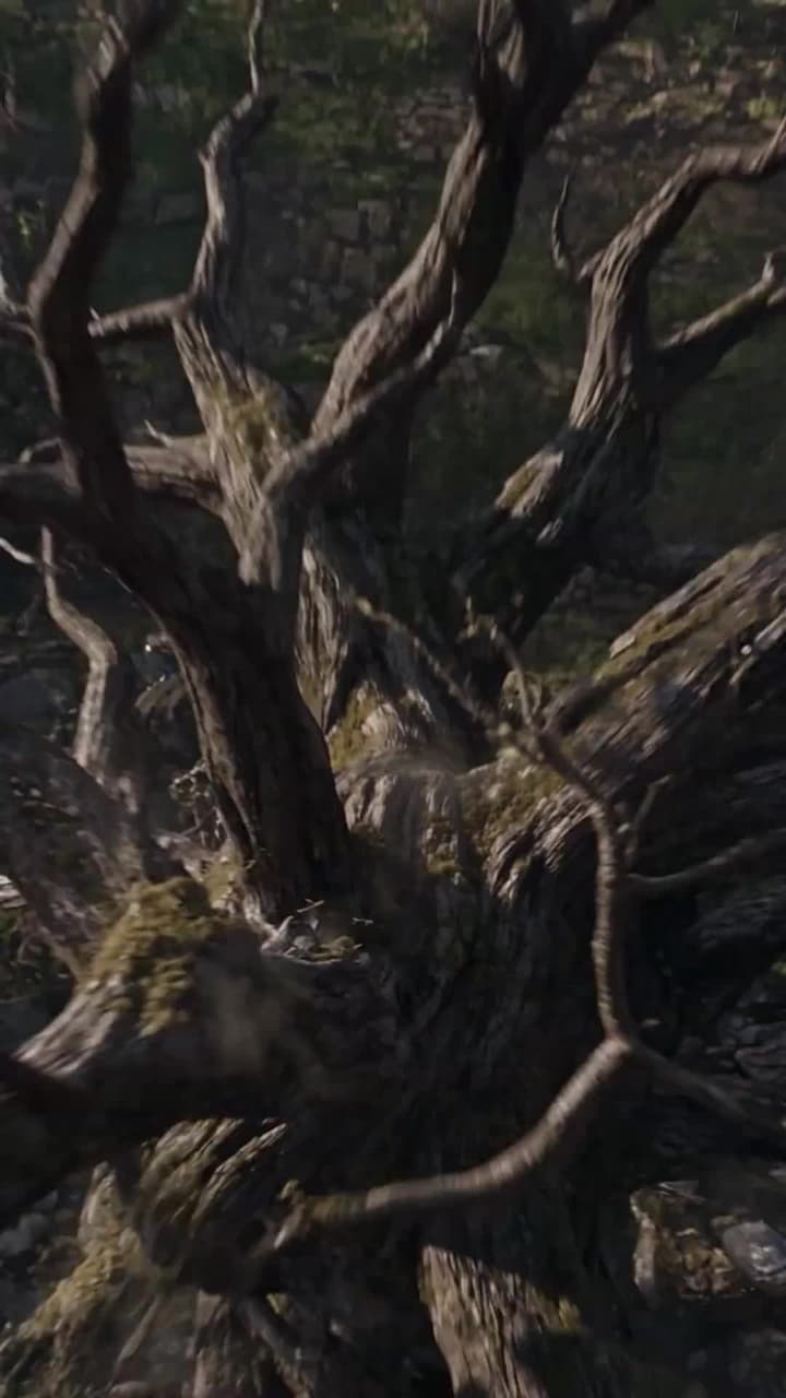 [Doblado]La domadora rechazada se alzó como Madre de Dragones - Episode 12