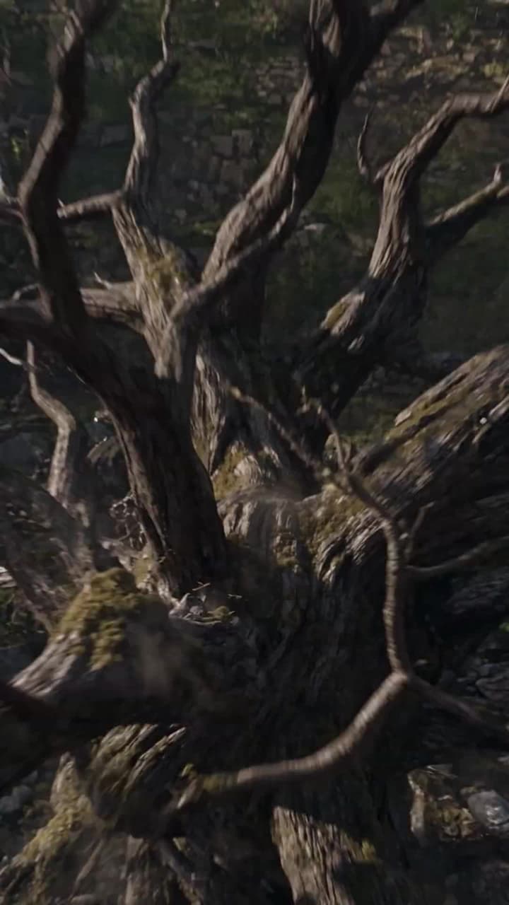 Madre de Dragones: Los hombres bajo el trono - Episode 12