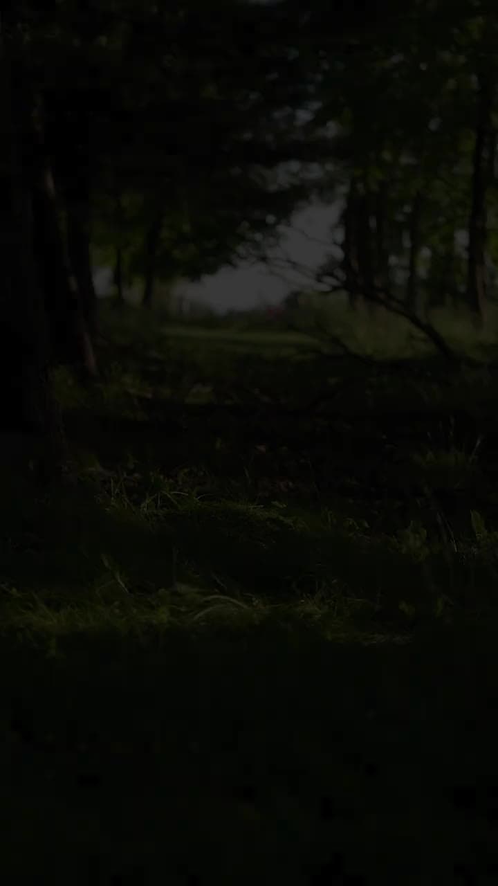 Eine Liebe durch das Schicksal - Episode 3