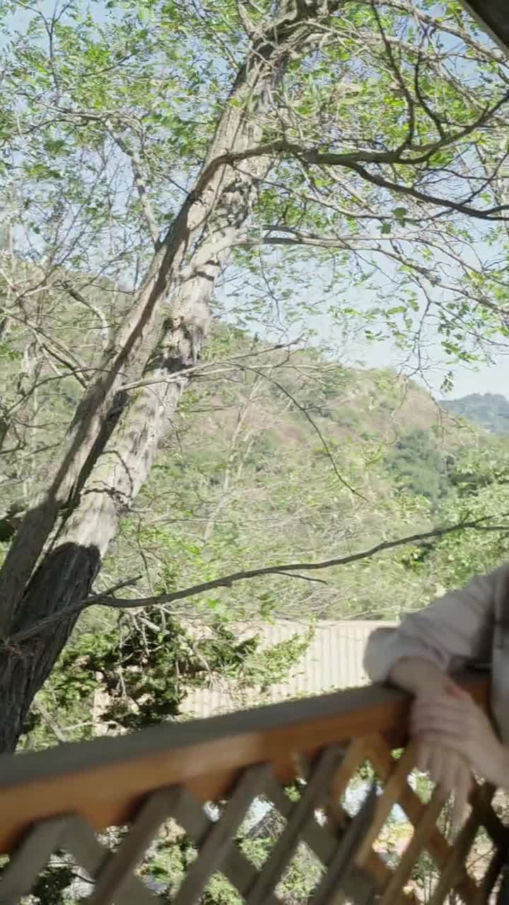 Surrogata del Presidente Alpha - Episode 26