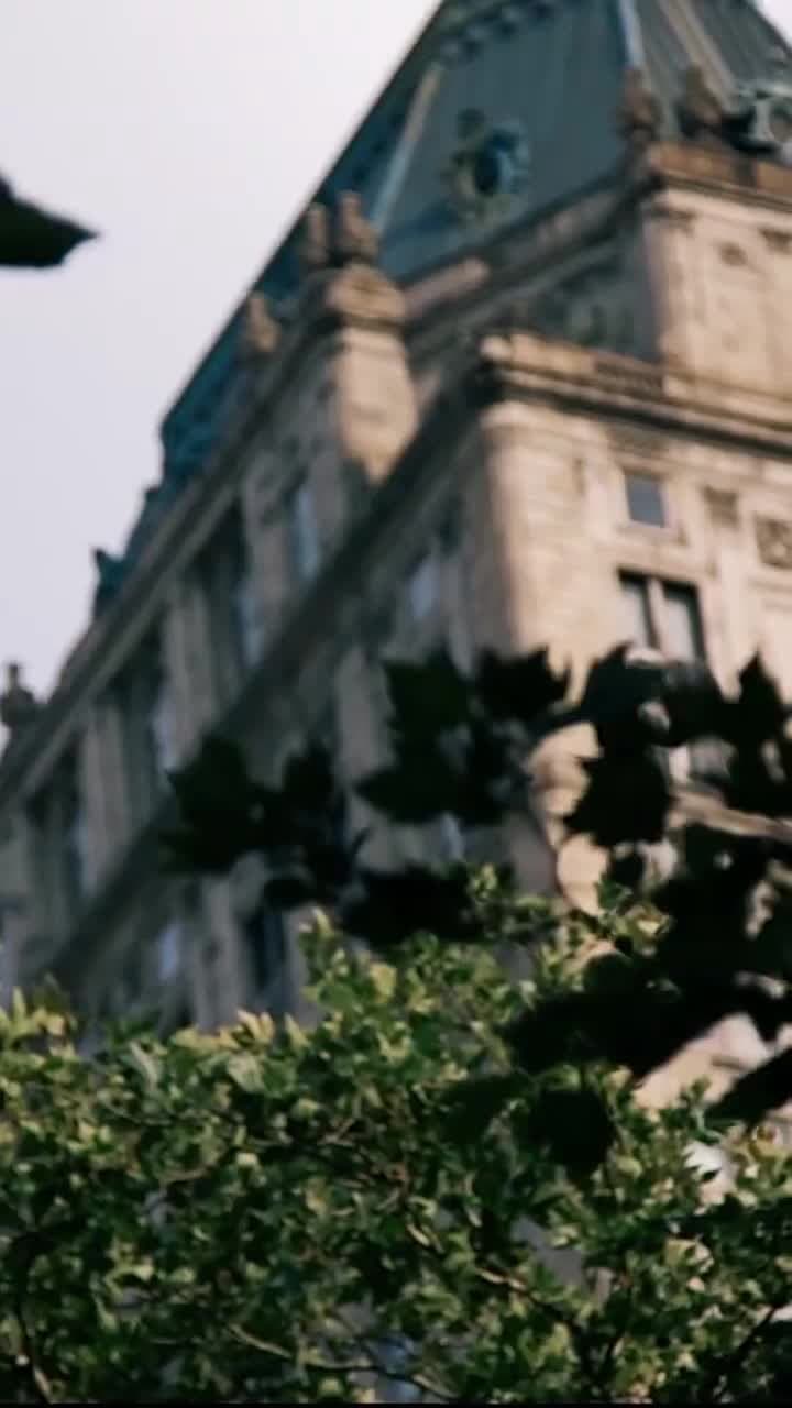 Il legame predestinato - Episode 4