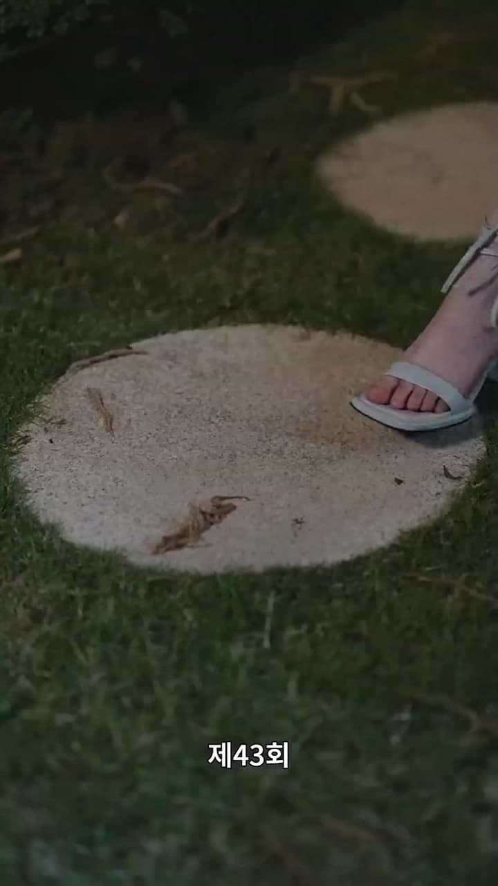 복덩이 쌍둥이들 - Episode 43