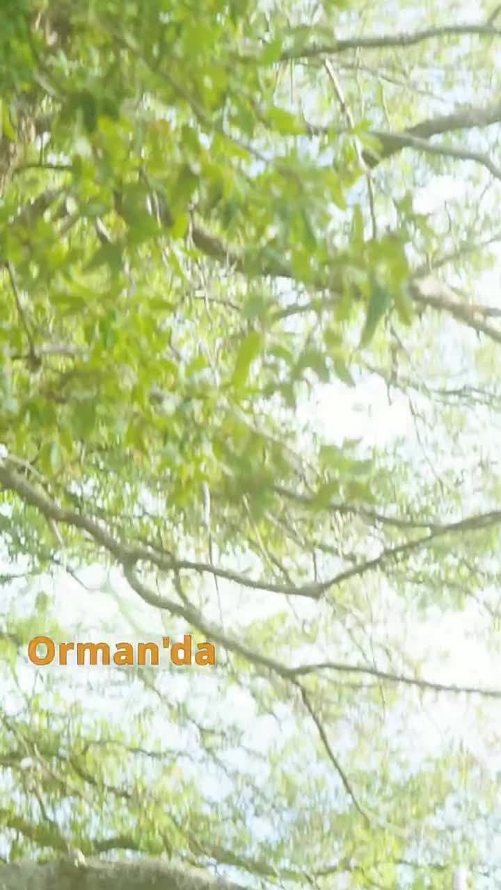 İstenmeyen Eş - Episode 1