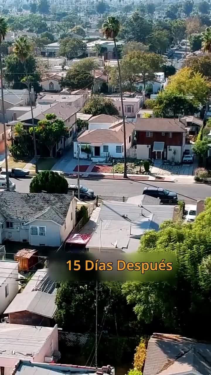 Bebé genio: Papá, por favor llévate a mamá - Episode 9
