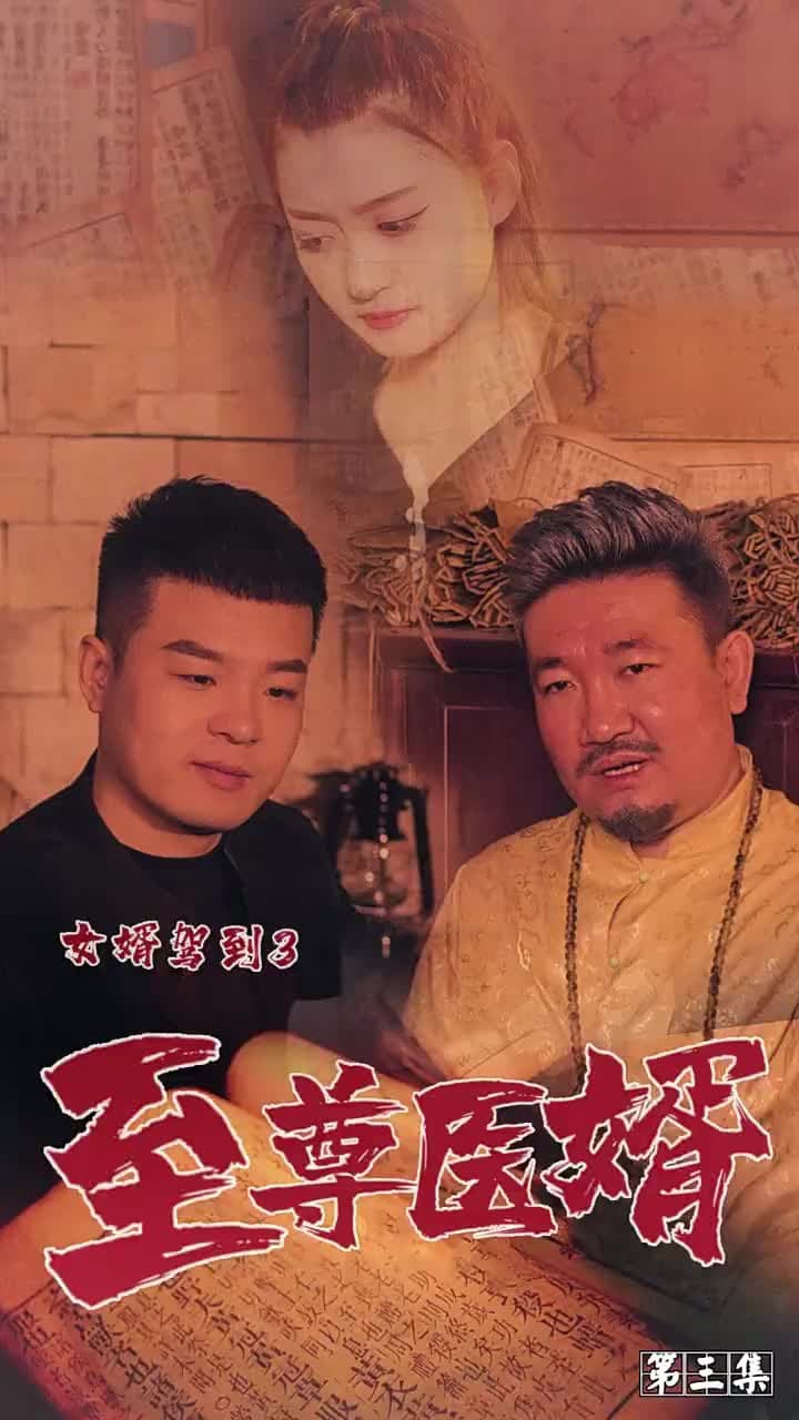 女婿駕到之至尊醫婿 - Episode 3
