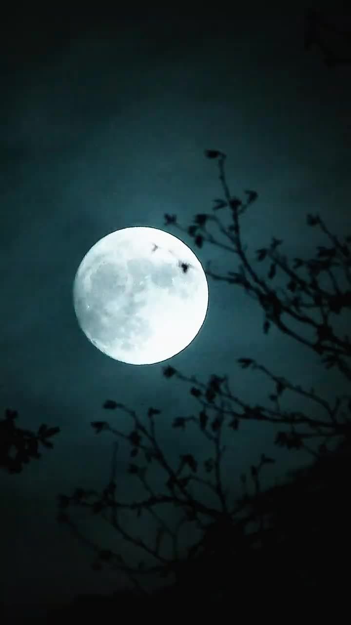 Luna'nın terk edilen kilitlik Bedeni - Episode 70