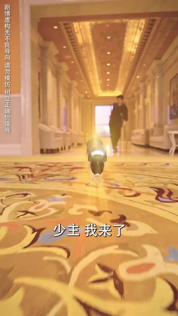 養豬 - Episode 66