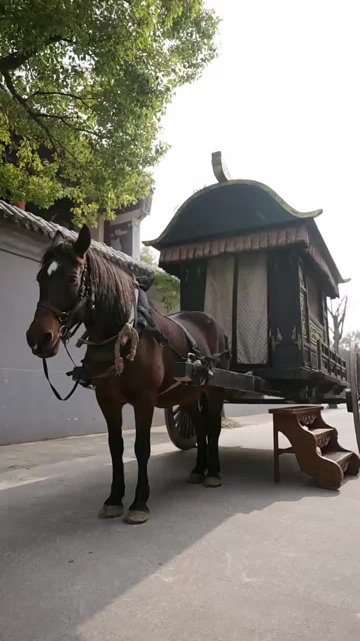 Yıldızlar Altında Tekrar - Episode 34