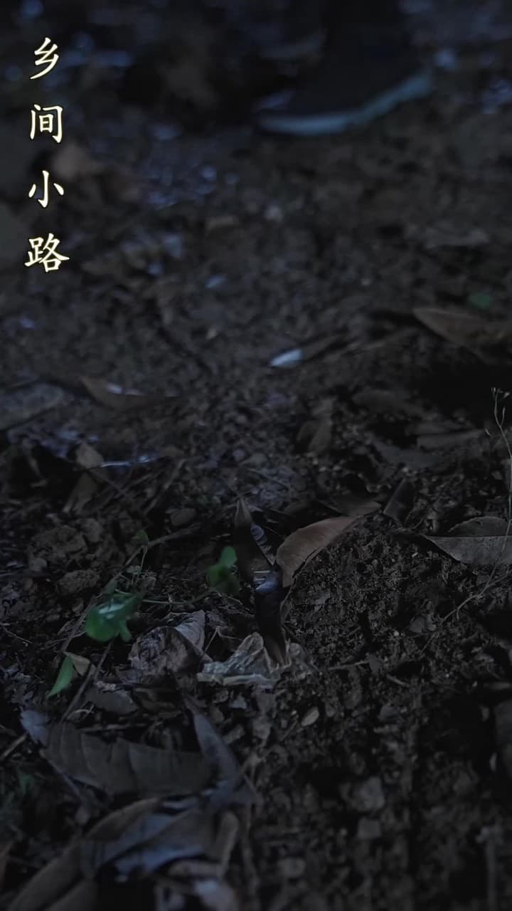 離婚後,沈總滿世界追妻 - Episode 86