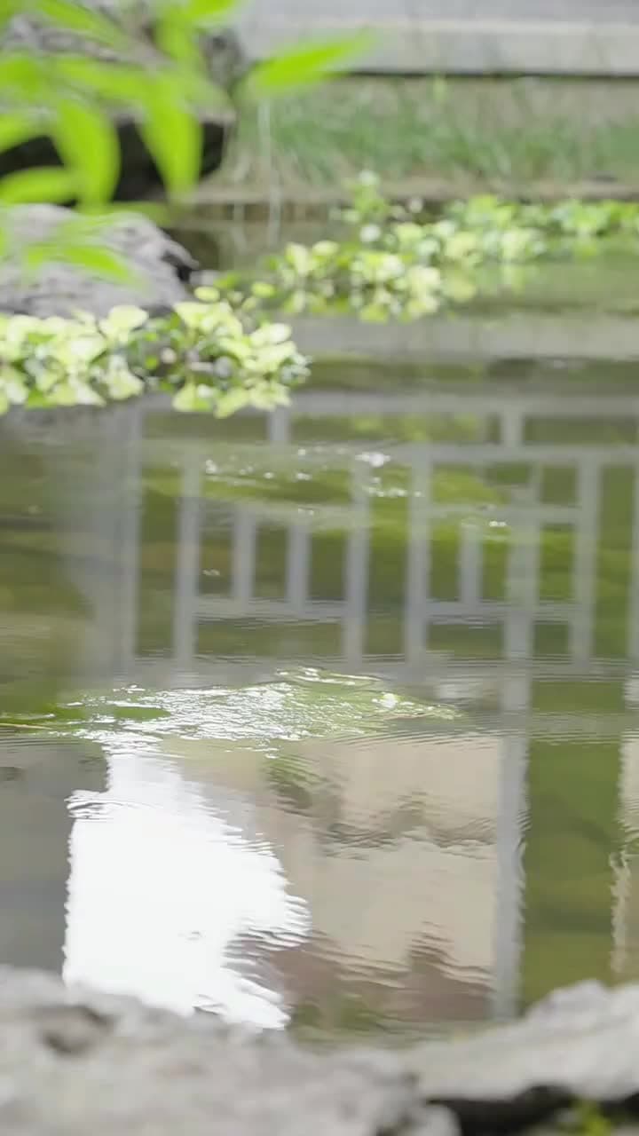 剣と心 - Episode 33