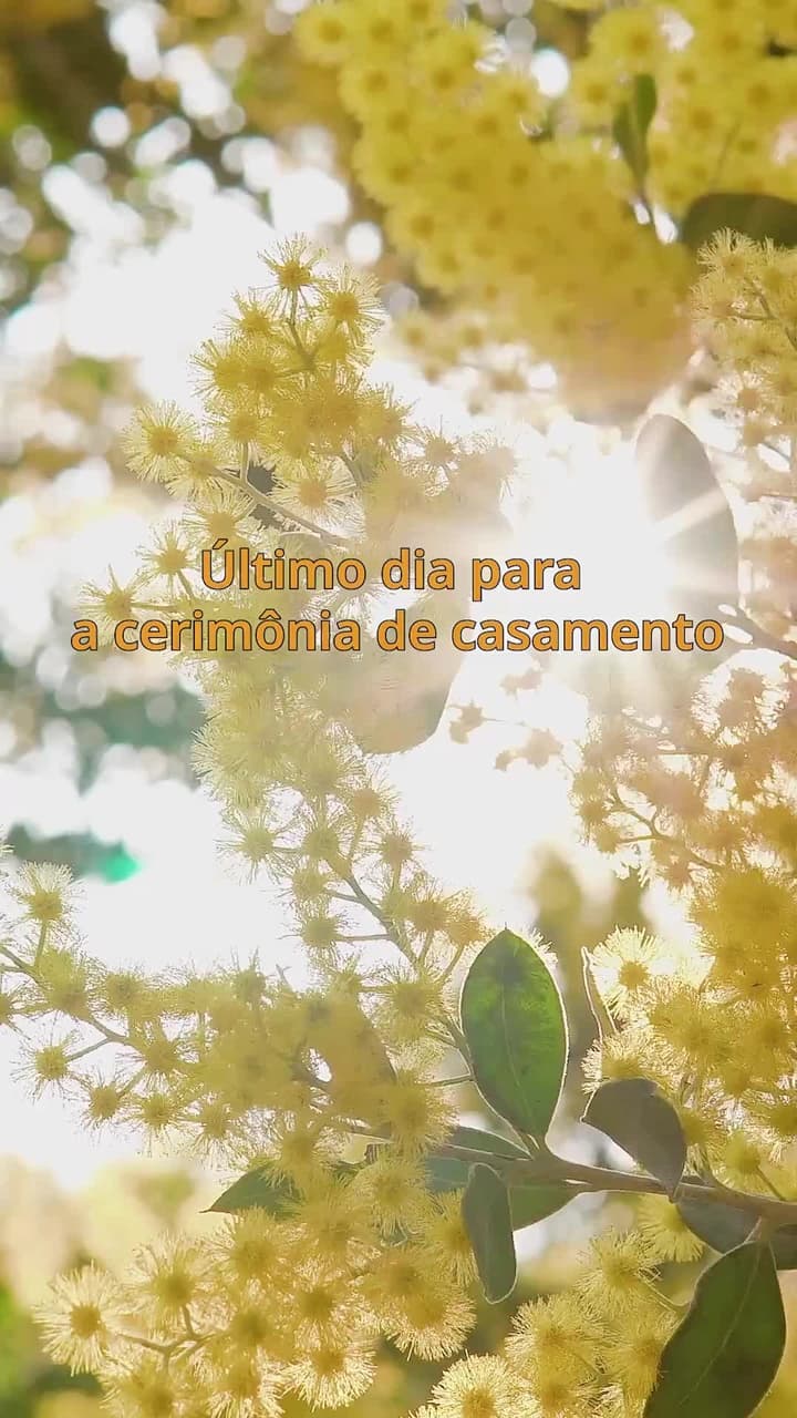 De Joelhos Sob o Luar - Episode 14