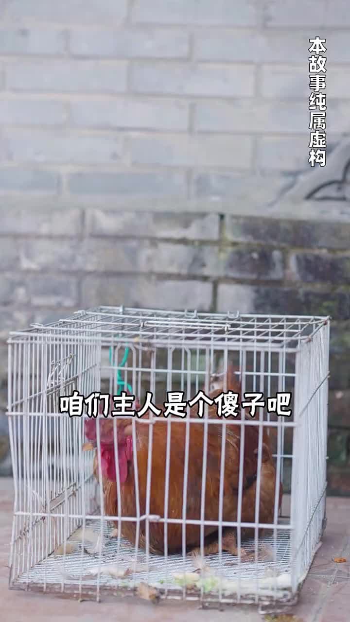絕世雜貨鋪 - Episode 8