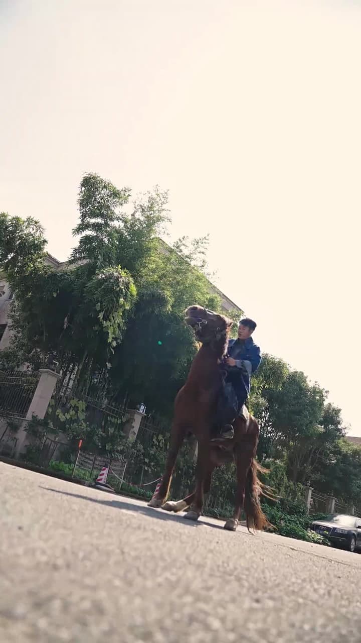 醫仙渡世 - Episode 3