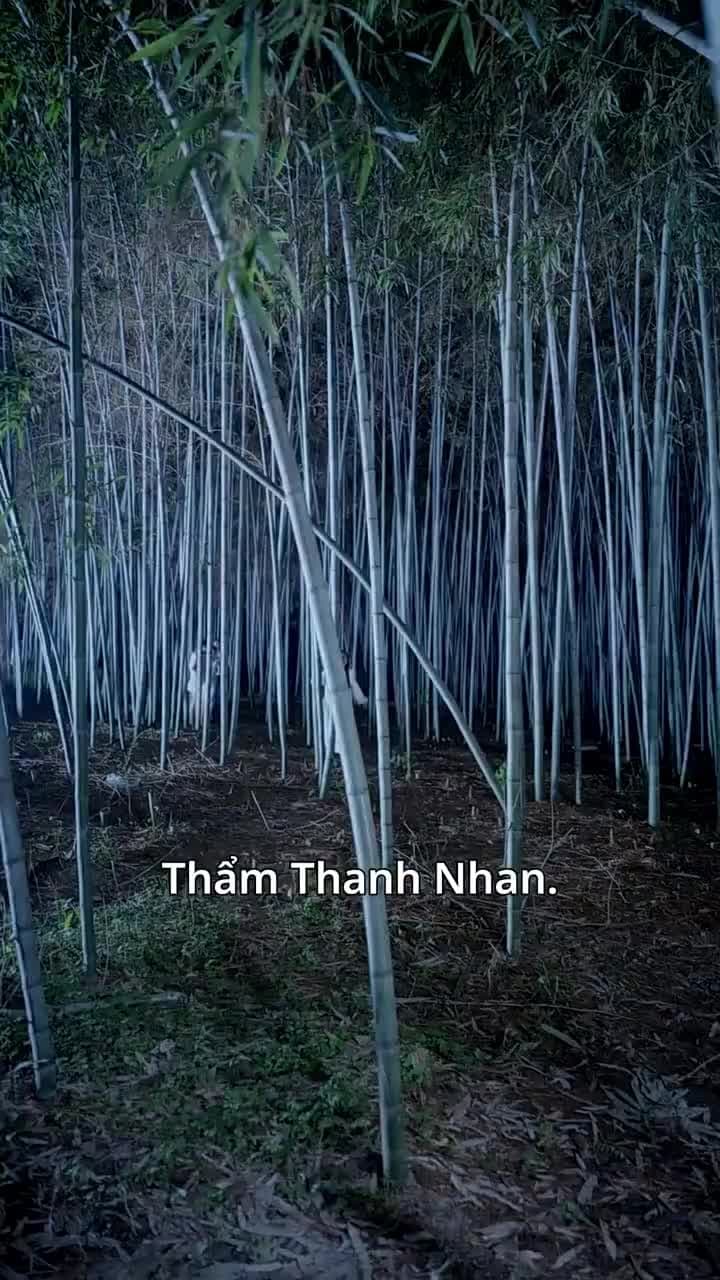 Đại Náo Chốn Nhân Gian - Episode 1
