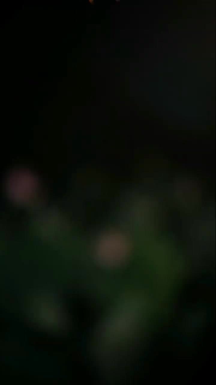 La Fleur de la Vengeance - Episode 1