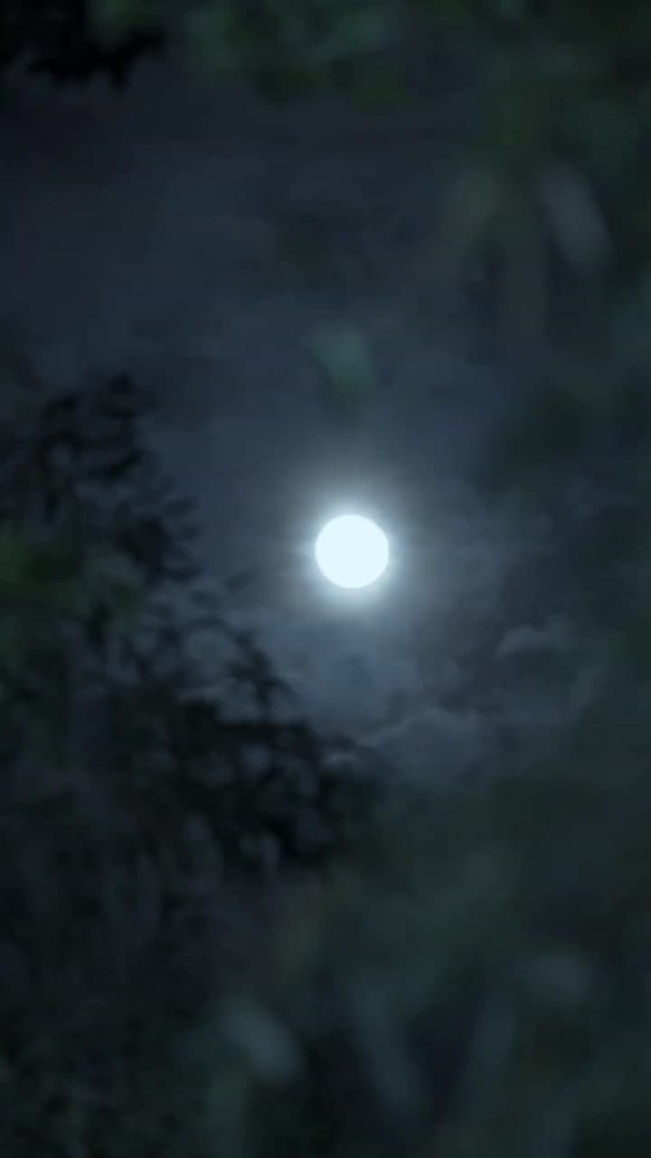亂世悲歌 - Episode 1
