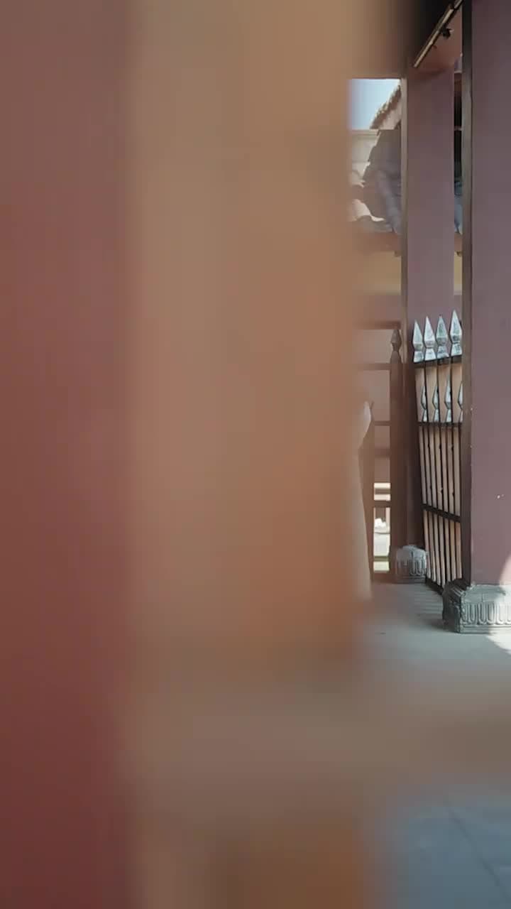 Niebla de jade - Episode 27