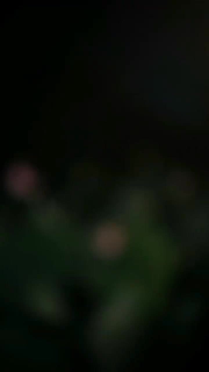 La Venganza de la Última Flor - Episode 1