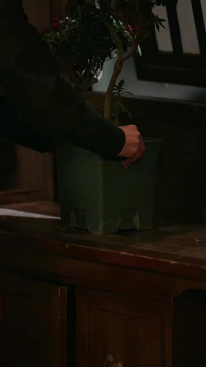 Küllerden Doğan Sevda - Episode 30