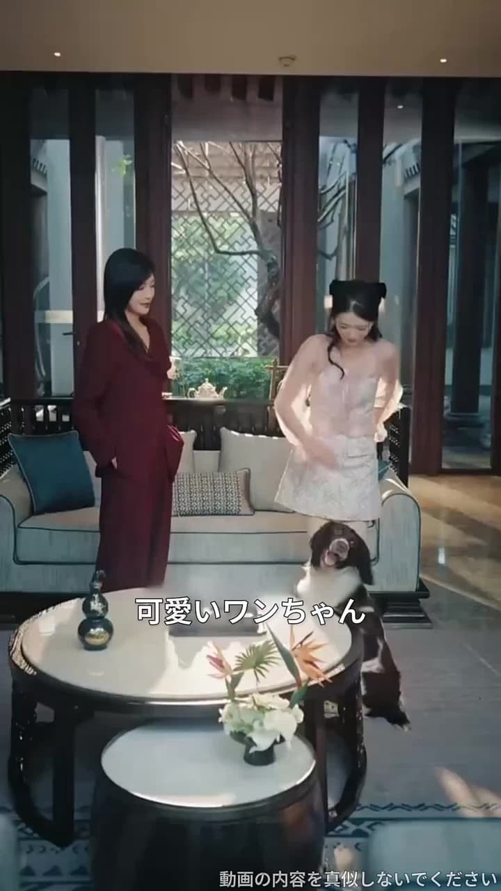 姉の名のもとに - Episode 28