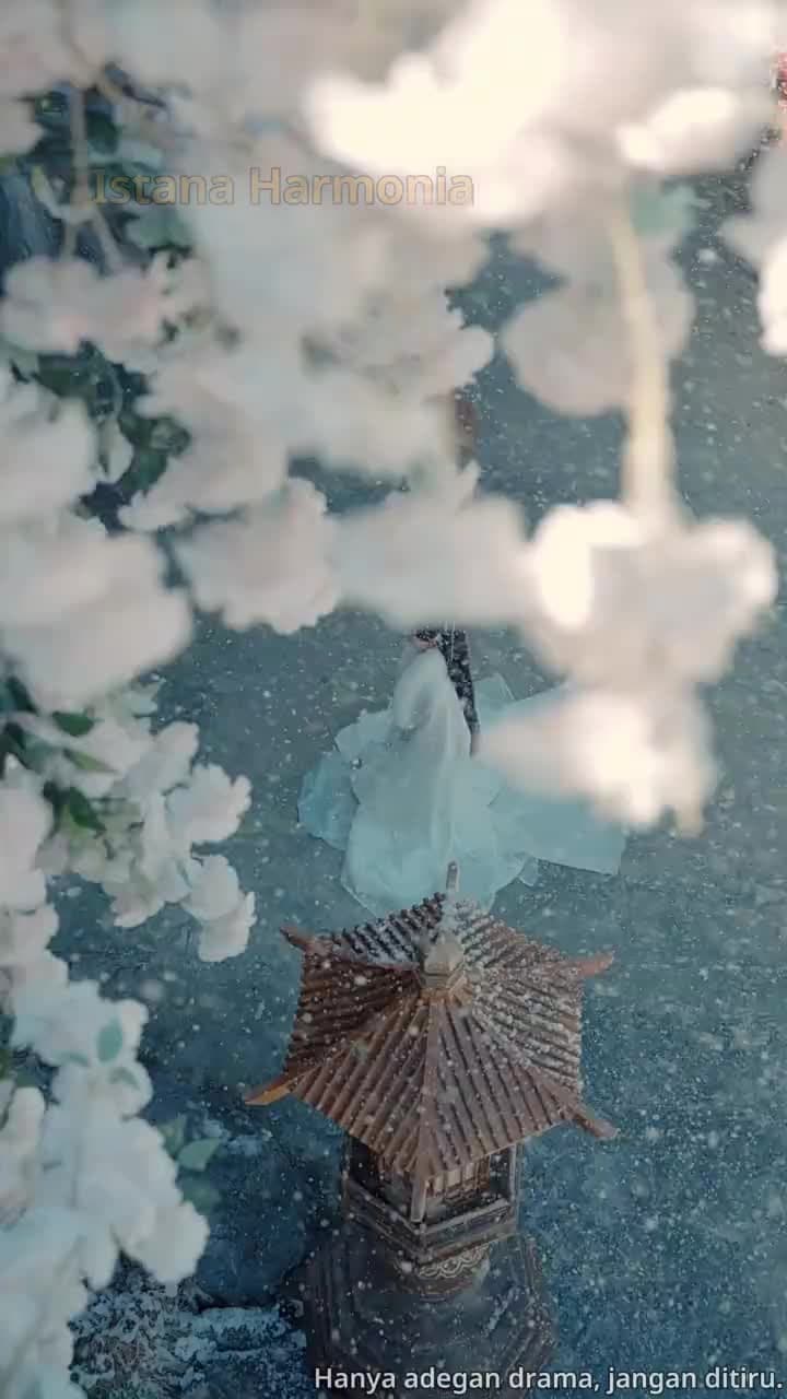 Mantan Suamiku Seorang Kaisar! - Episode 1