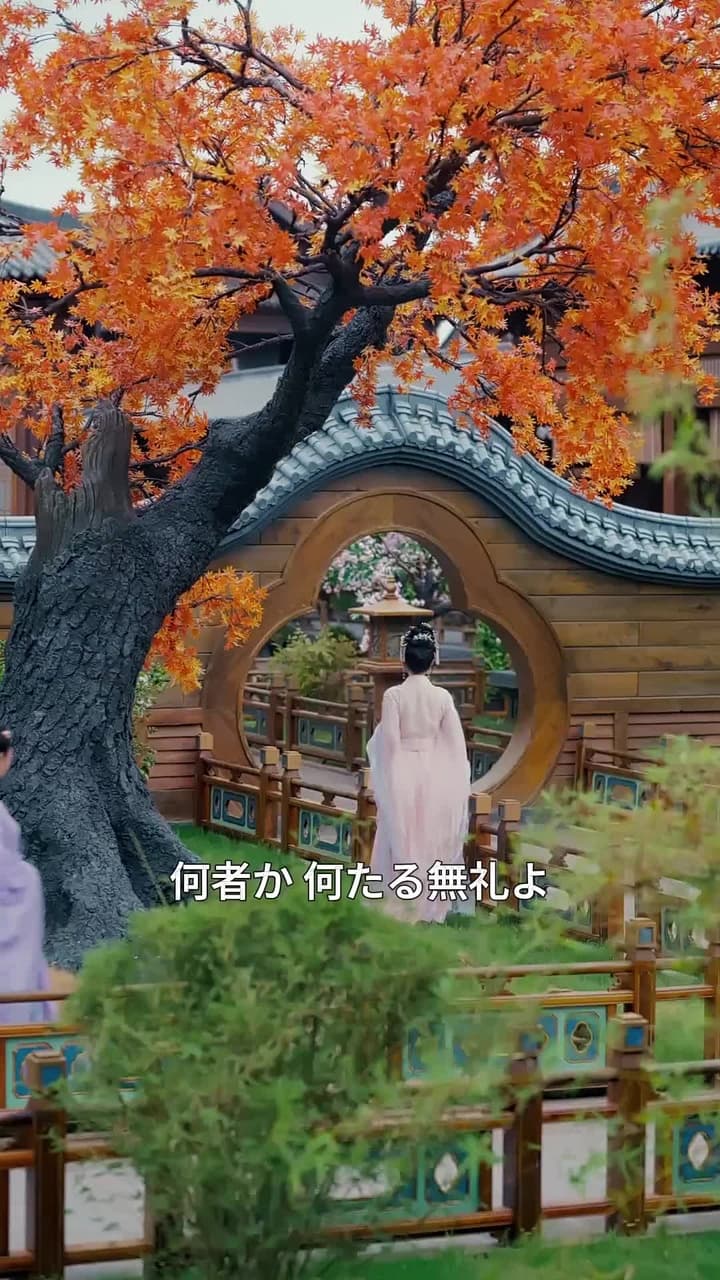 舞姫の復讐ー狙いは皇帝の命か、心か - Episode 28