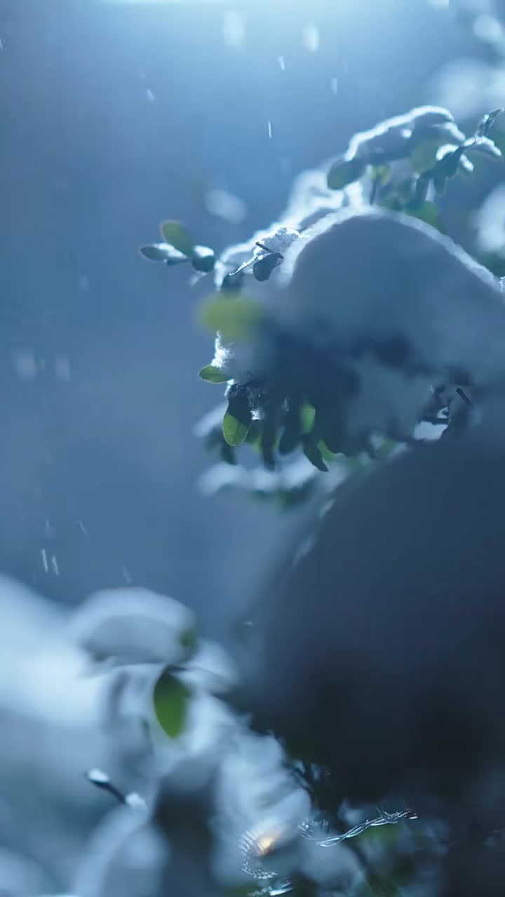 昨日雪 - Episode 1