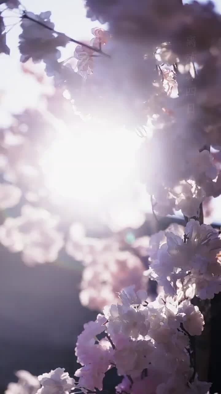 夜問 - Episode 10