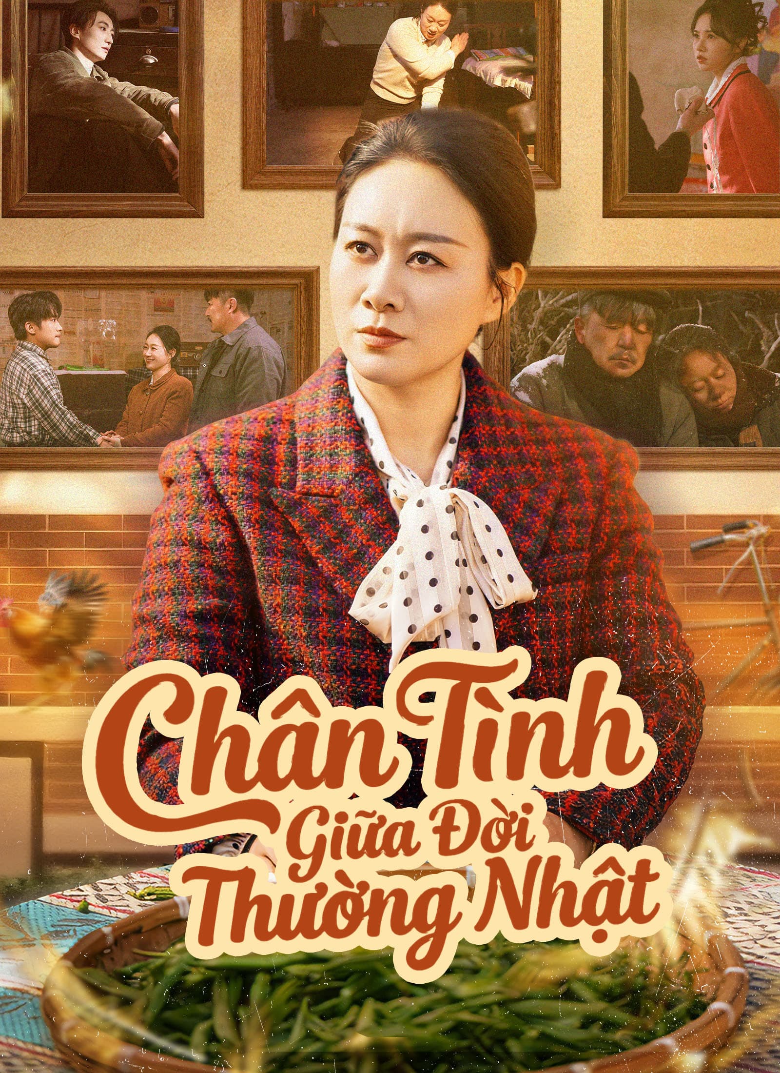 Chân Tình Giữa Đời Thường Nhật