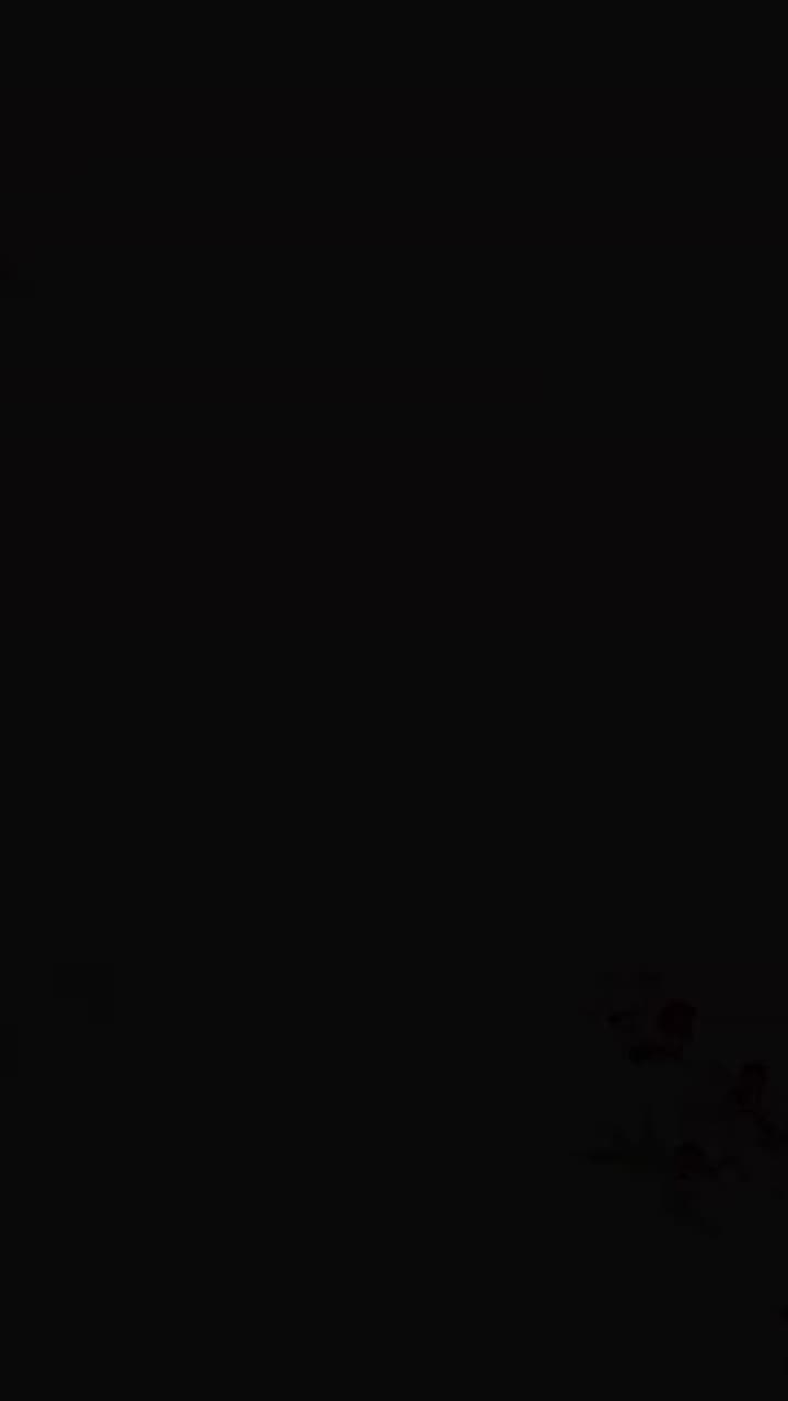 妖皇大人的小紅娘 - Episode 2