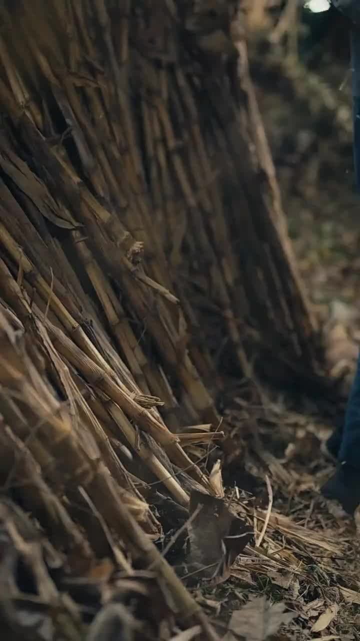 Bajo la Tierra Corría Vida - Episode 6