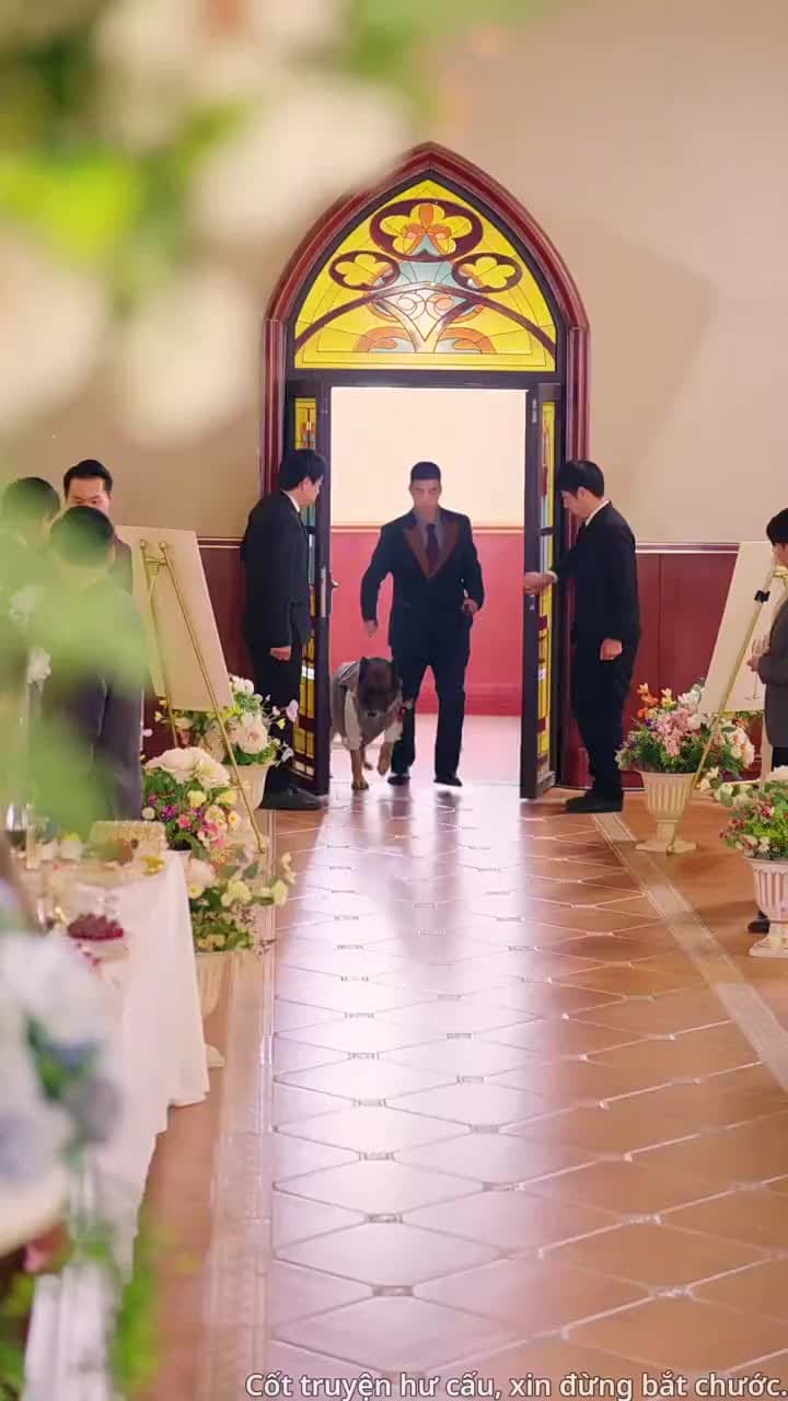 Phượng Hoàng Tái Sinh - Episode 2