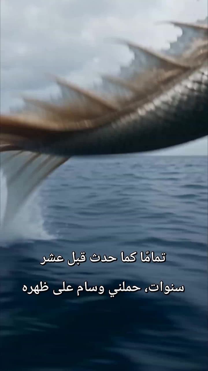 بين عناق البحر والغموض - Episode 24