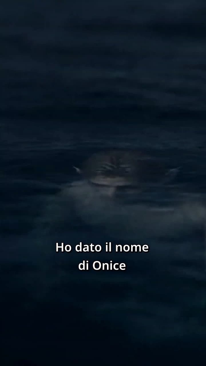 Ho insegnato a un sireno a corteggiare, e ora sono sua - Episode 3