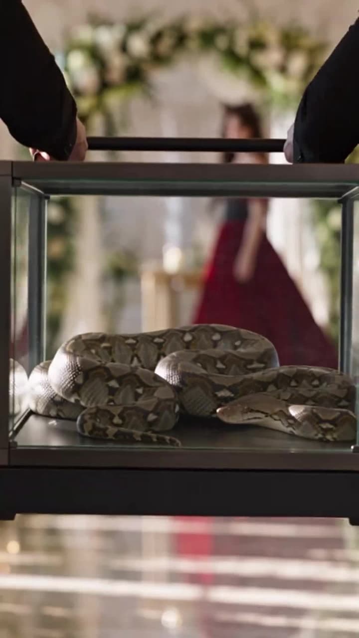 Alpha Sent a Snake to Marry Me - Episode 2