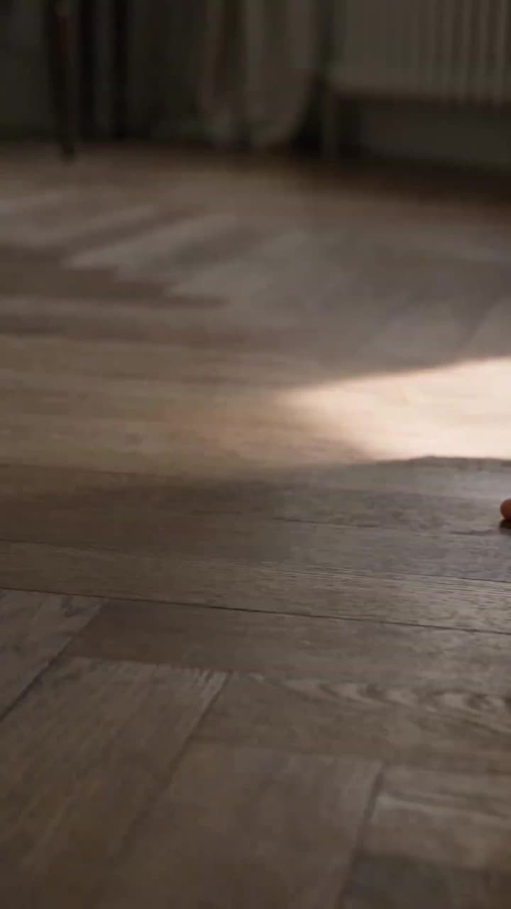 幻法書院:艾薇與幼龍契約 - Episode 43