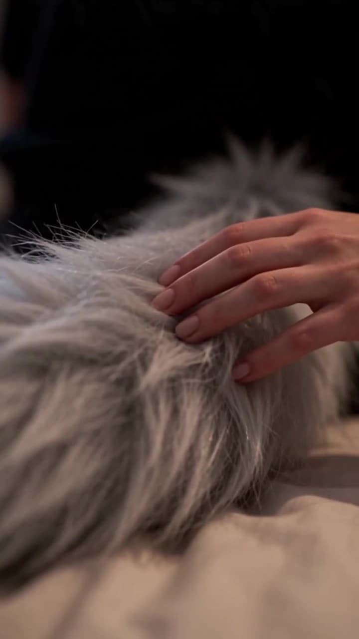 Snow-Wolf Husband Gone Wild for My New Mate - Episode 5