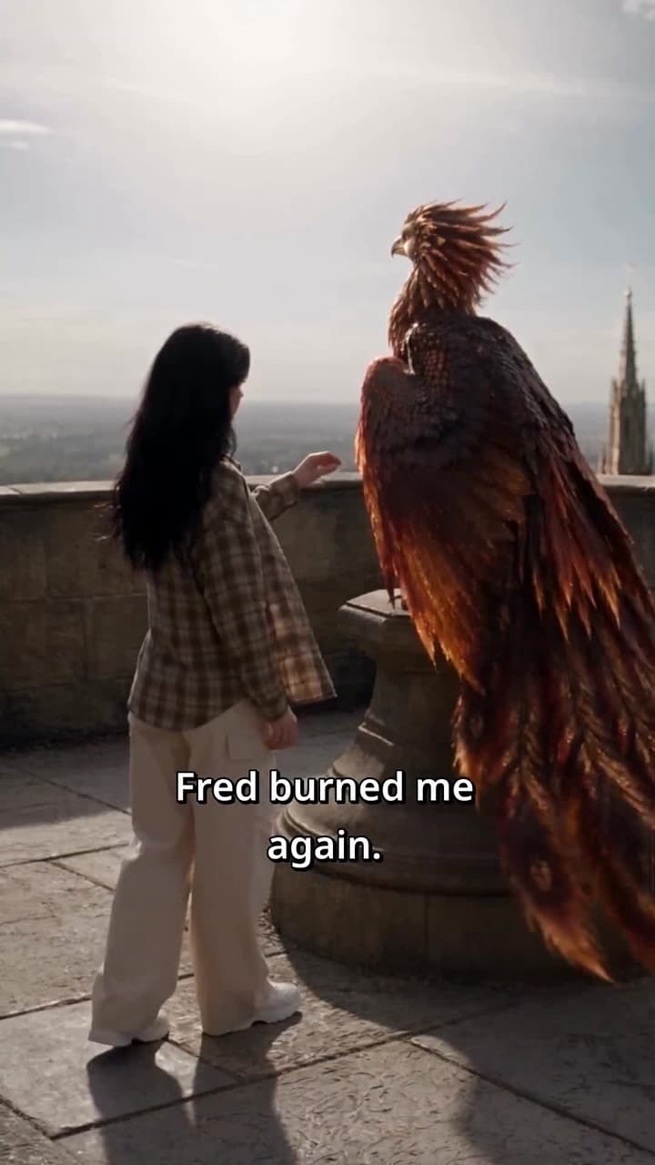 I Left the Phoenix for a Dragon - Episode 1